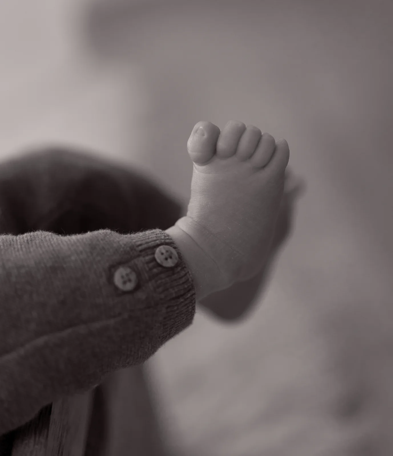 Newborn Fotografie